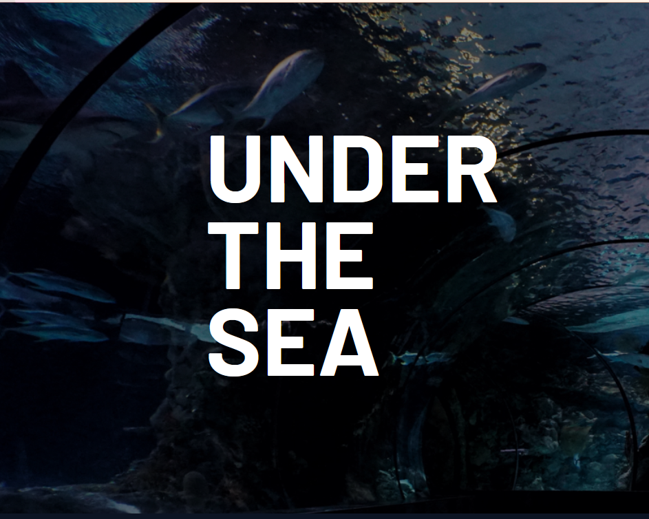 on load image of eric howell's site under the sea